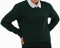 V-Neck Sweater (2010)