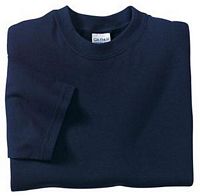 Gildan DryBlend T-Shirt (8000)